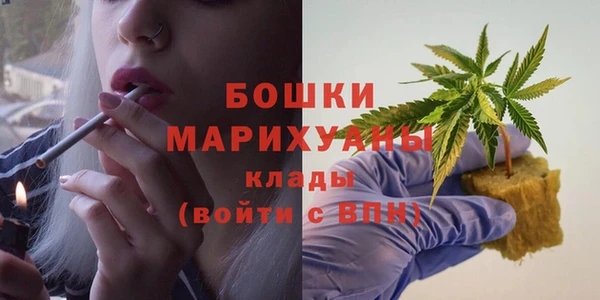 прущие крисы Белокуриха