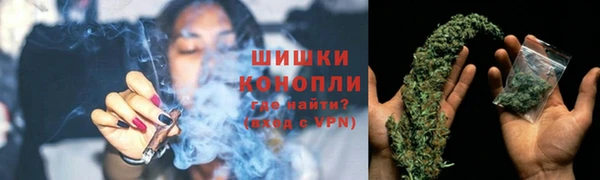 прущие крисы Белокуриха