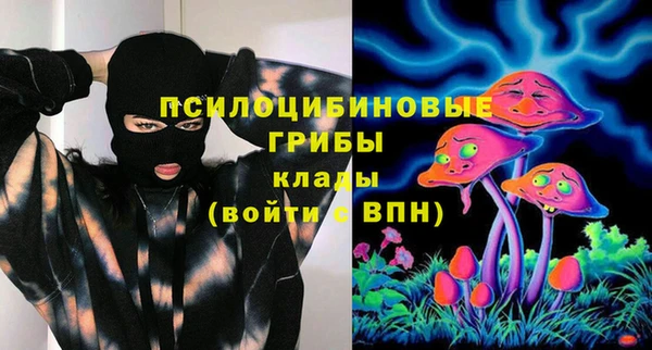 прущие крисы Белокуриха