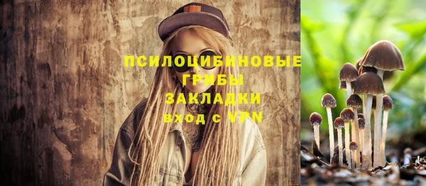 прущие крисы Белокуриха