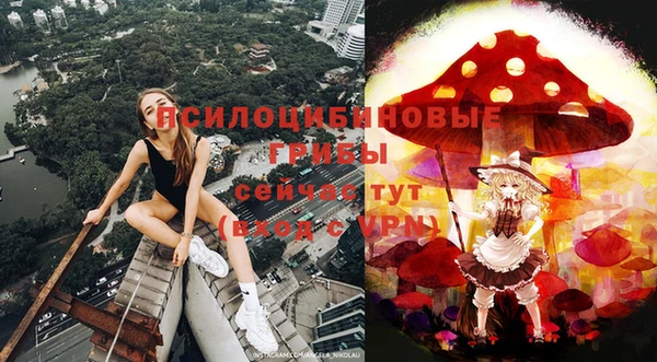 прущие крисы Белокуриха