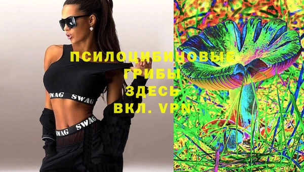 прущие крисы Белокуриха