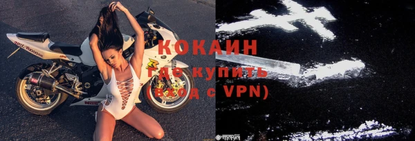 прущие крисы Белокуриха