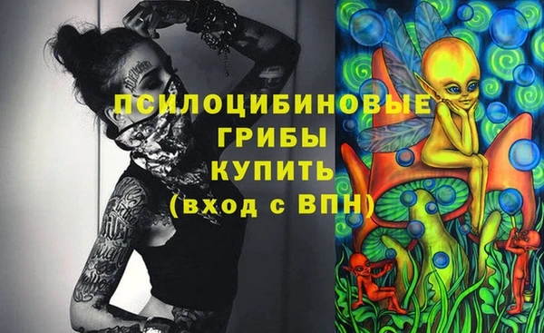 прущие крисы Белокуриха