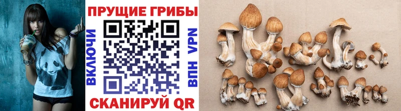Галлюциногенные грибы GOLDEN TEACHER  сколько стоит  Тырныауз 