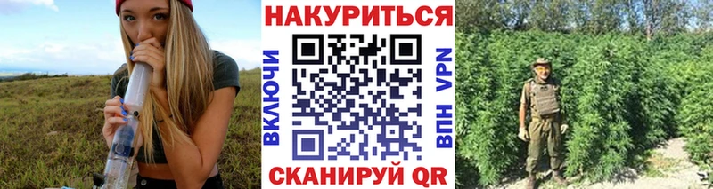 Бошки марихуана ГИДРОПОН  Тырныауз 